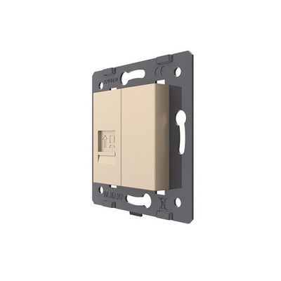 LIVOLO Innenleben RJ45 Netzwerkdose CAT6A LAN Datendose VL-C7-1CAT6A-13 Gold