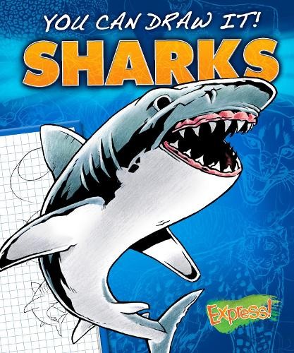 Sharks by Maggie Rosier (Hardcover, 2013) - Image 2