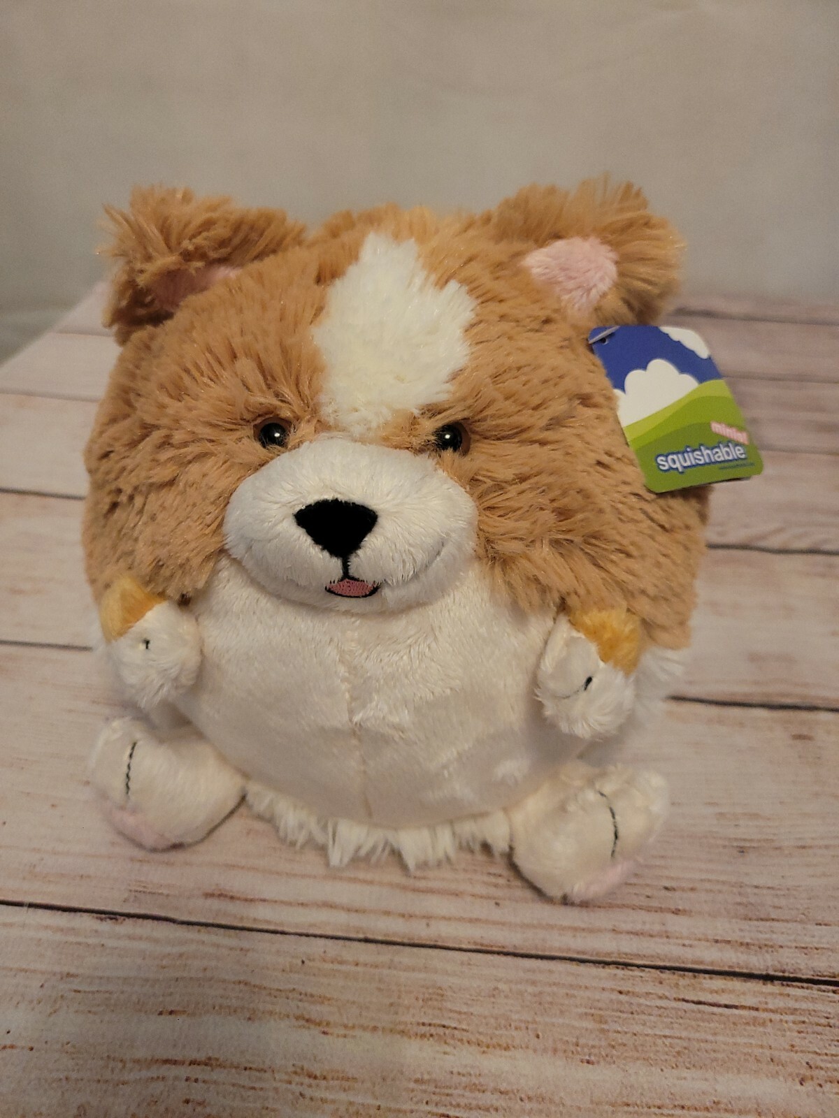squishable corgi