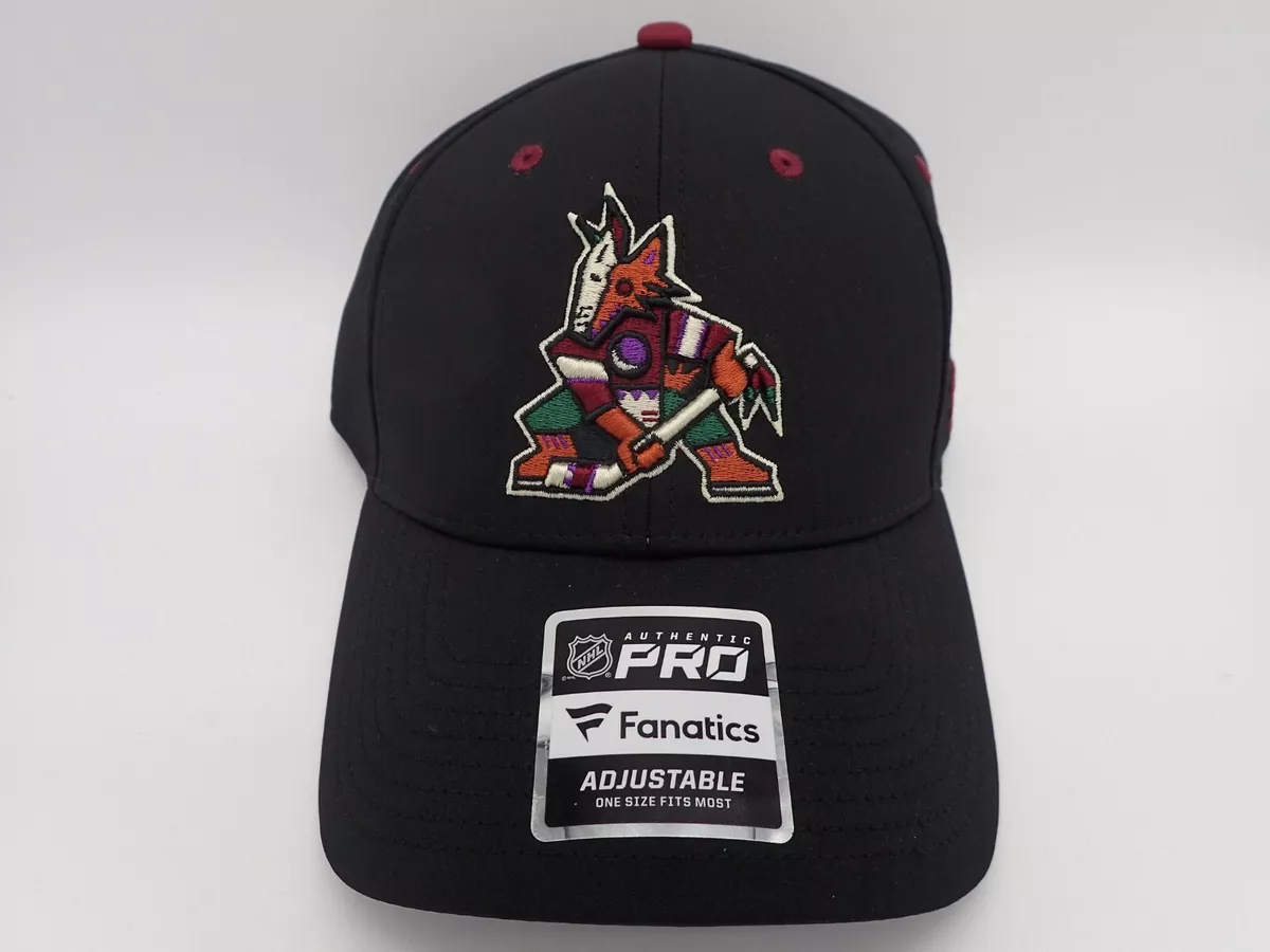 Kachina coyotes store hat