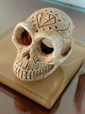 DECO AQUARIUM CRANE DE SINGE SKULL+JAR