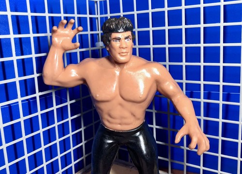 WWF LJN Ricky The Dragon Steamboat ORIGINAL PAINT ...