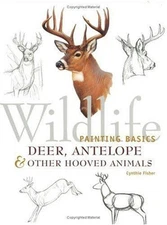 Wildlife Painting Basics Deer, Antelope and Other Hooved Animals