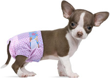 Disposable Female Dog Diapers, Puppy Diapers with Adjustable Elastic Waistline