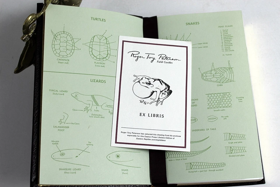 Eastern Reptiles and Amphibians Roger Conant 3rd Edition 1991 Illustrated - Image 2 of 4