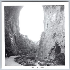 Vtg B&W Snapshot Natural Rock Arch Bridge Gorge Canyon Stream People Path 1968