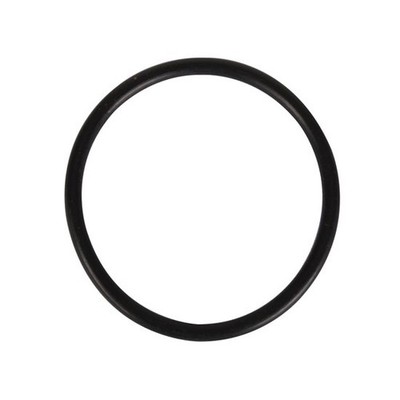 Cold Fire Super Systems 20000821 Large Piston O-Ring