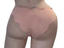 RENE ROFE Pure Beauty Peach Gray Lace Trim Silky Nylon Panties 6 NWT