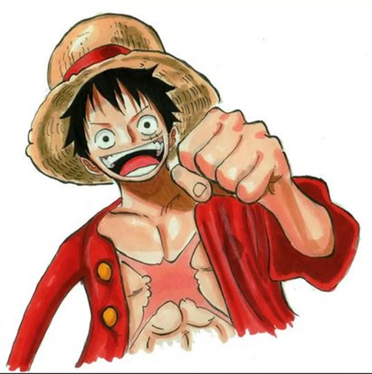 One Piece Monkey D. Luffy Chest Scar - One Piece Luffy - Tapestry