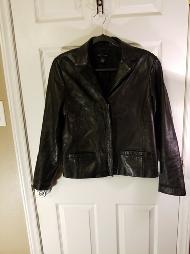 Ann Taylor Loft Leather Jacket | eBay