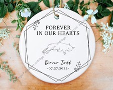 Custom Cat Ornament, Pet Memorial Ornament, Forever in Our Hearts Ornament, P...