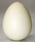 Foto 2 di 2