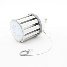 Satco S29677 Mogul Bulb in Light Finish, 10.38 inches, Color