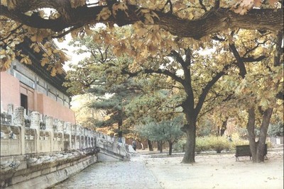 Changling Ming Gräber Peking China Herbst Bäume Postkarte VR China