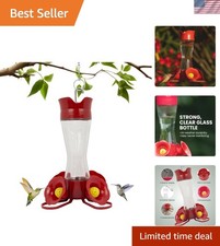 Elegant 8 oz Glass Hummingbird Feeder with Ant Moat  Bee Guards - Perfect fo...
