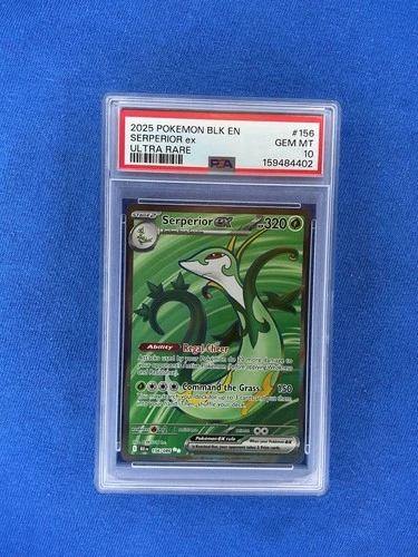 2025 POKEMON BLK EN-BLACK BOLT ULTRA RARE #156 SERPERIOR EX PSA 10 GEM MINT