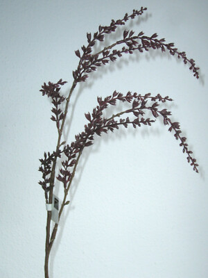 DEPOT Kunstpflanze  Dekozweig Stachyrus Braunrot Stielblume ca. 66 cm |  eBay.de