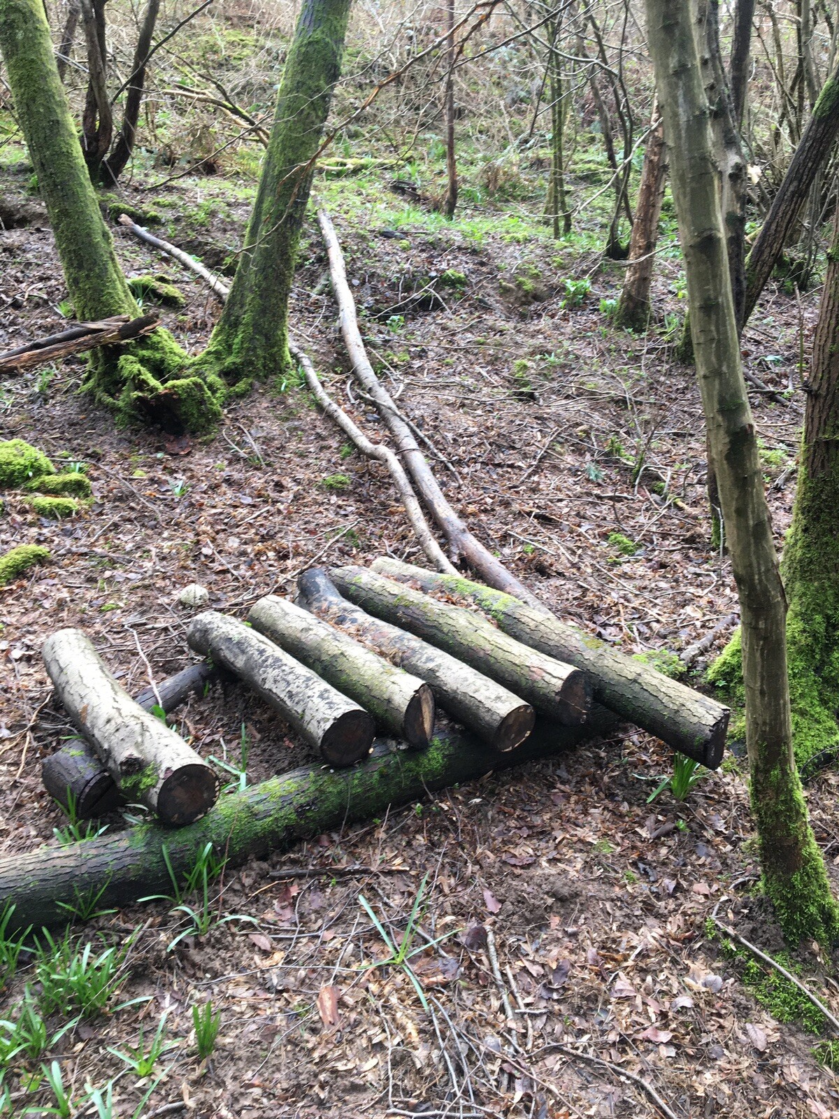 LAND FOR SALE EAST SUSSEX UDIMORE TN316FU eBay