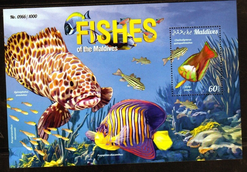 MALDIVES #3525 2015 FISHES MINT VF NH O.G S/S