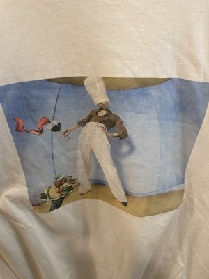 Harry Styles Album Parody Longsleeve Tshirt Men s Size Large *flaw*