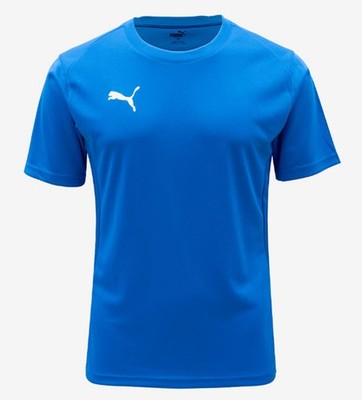 Puma Herren Team Goal Casual ASIA SP T-Shirts Blau Running Tee GYM Trikot 659...