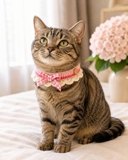 Cute Knit Cat Dog Collar Bow Ruffle Adjustable Pet Neckwear Puppy Kitten