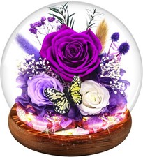 Purple Preserved Rose Box: Valentine's Day  Birthday Gifts for Women, Her