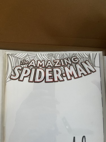 The Amazing Spider-Man #1 - Signed STAN LEE - Sketch Variant Blank - Marvel