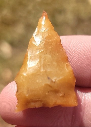 Georgia Pfeilspitze Candy Dalton