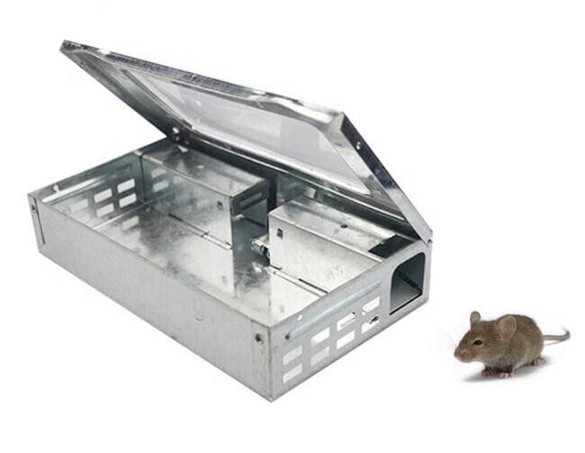 Humane No-Kill Cat Mouse Trap with Clear Lid for Outdoor Multiple Catch and Release  