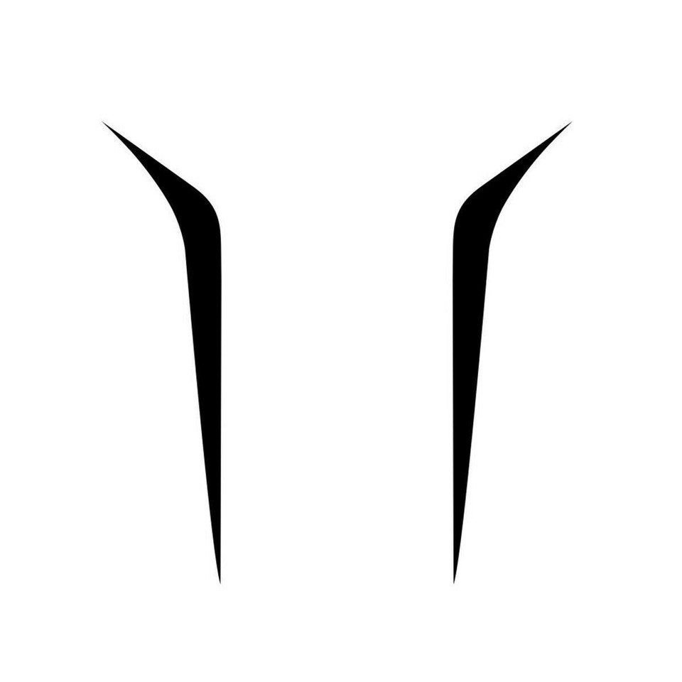 Easy to Apply Car Racing Hood Stripes Decal 2Pcs Black Vinyl Stickers