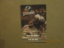 Arena 2 Birmingham Steeldogs Vintage Defunct 2001 Team Logo Home Pocket Schedule