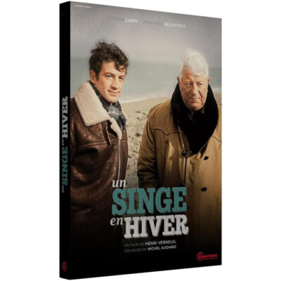 Ein Affe im Winter DVD NEU
