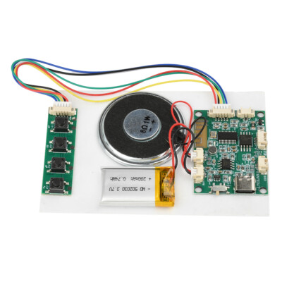 Type-C 8M Recordable Sound Module Greeting Card Music Box Sound Module ...