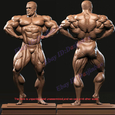 Dorian Bodybuilding 1/8 3D Print Model Kit Unpainted Unassembled GK 24cm 