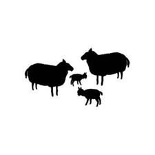 Sheep Family - Vinyl Decal Sticker for Wall, Car, iPhone, iPad, Laptop, Bike