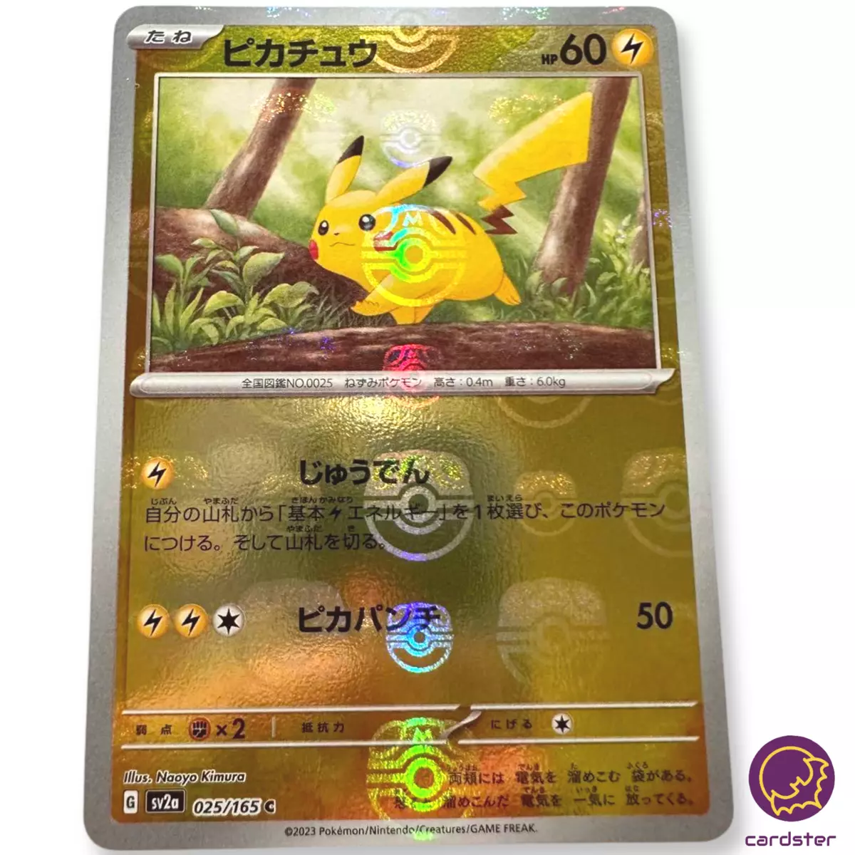 Protège Carte Pokémon Black Ball