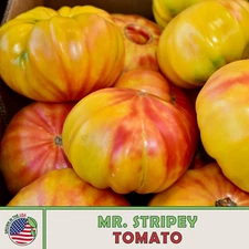 Mr. Stripey Tomato Seeds, Heirloom, Non-GMO, Genuine USA