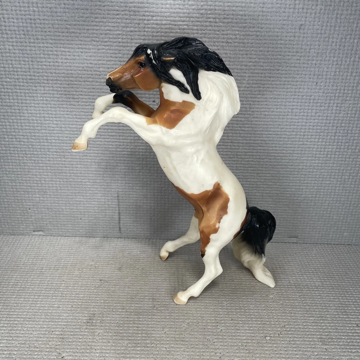 Black And White Paint Horse Rearing