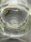 Vintage Palombo’s Detroit Restaurant Bar Glass — photo 4