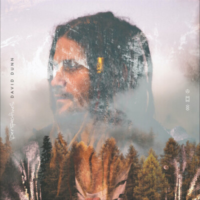 David Dunn Perspectives (CD, 2020) New factory sealed.  Produced by TobyMac