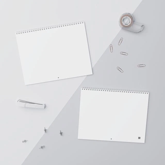 Do It Lady 2026 Wall Calendar, Jay Renshaw Meme Funny Character Comedy Planner