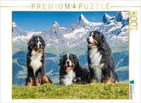 Calvendo Puzzle Bernese Mountain Dogs In Switzerland | 1000 Pieces, Finished Siz