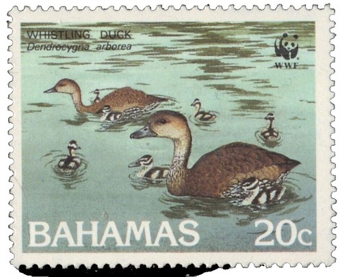 Vintage 1973 Explore the World w/Stamps Philatelic Zoo, Standard