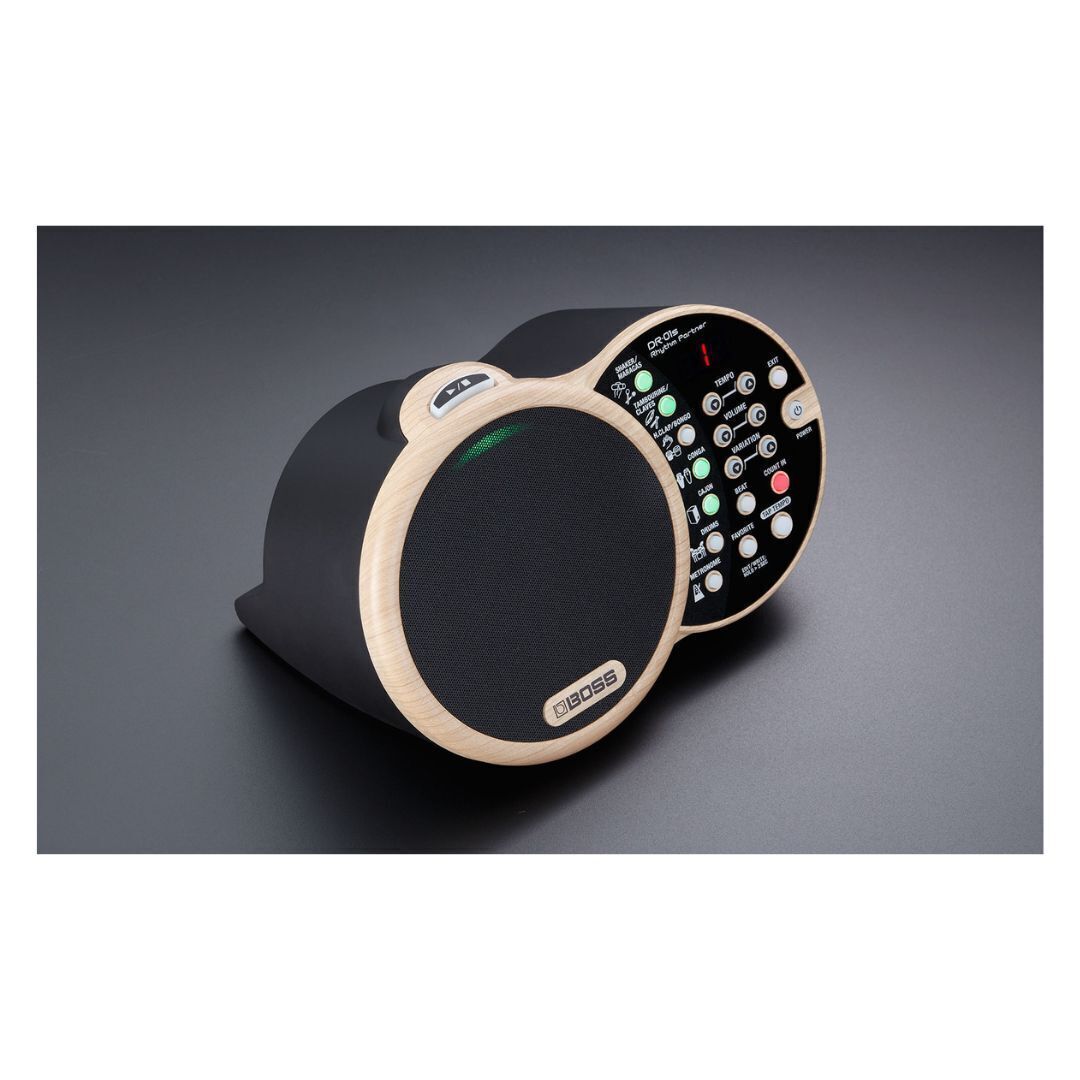 Boss DR 01S Rhythm Partner with Organic Percussion Sounds