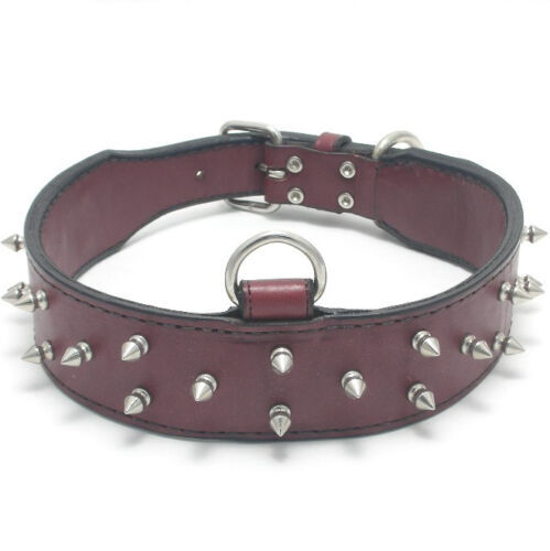 Supreme B.B. Simon Studded Dog Collar Red | eBay