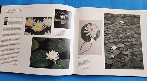 Wildflowers Stamp Collection Book, No Stamps Just This Beautiful Book - Picture 4 of 10