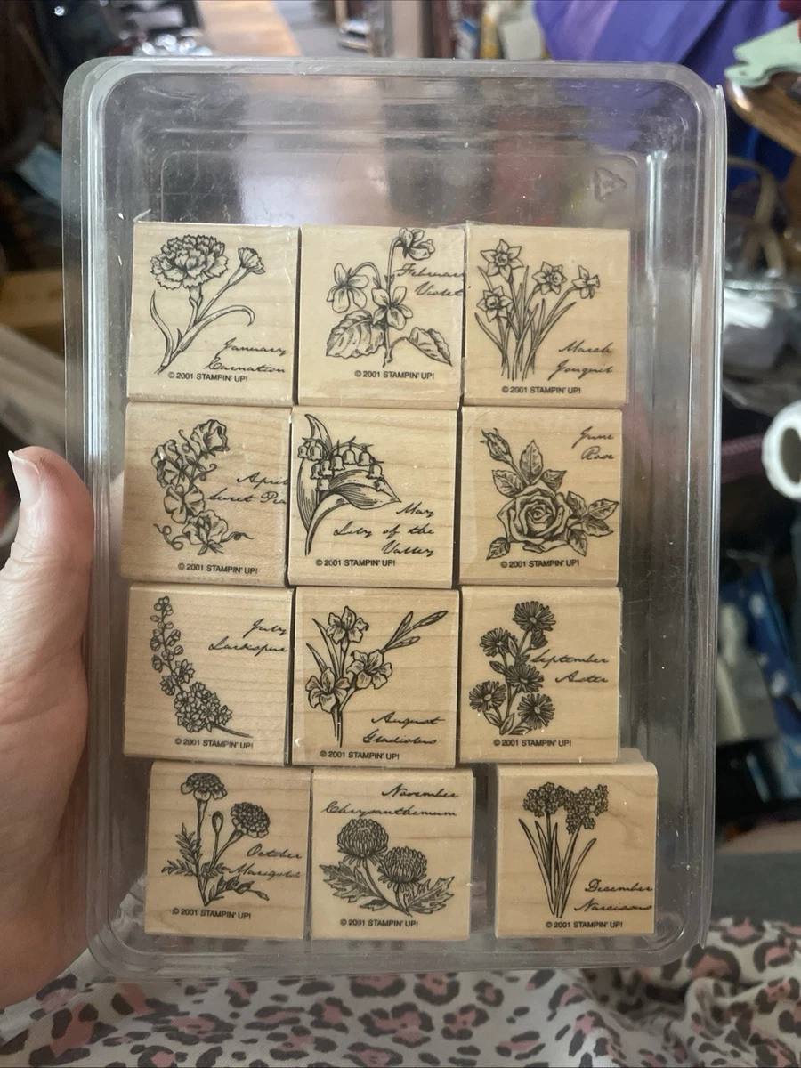 Stampin' Up! 花卉和植物工艺邮票| eBay