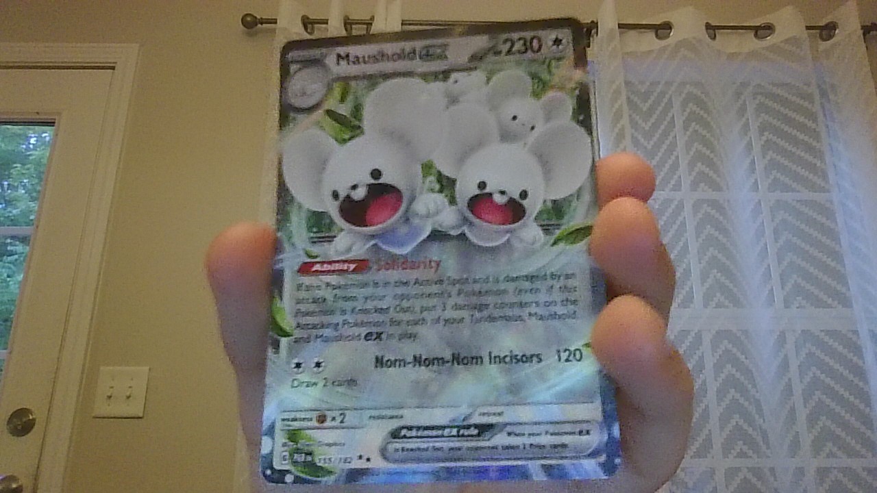 Maushold ex 155/182 SV04: Paradox Rift Holo double black star rarity