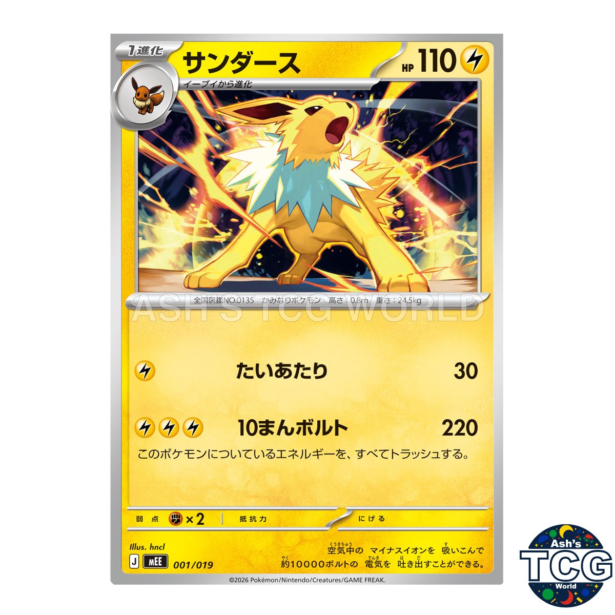 Jolteon 001/019 MEE Starter Set ex Eevee ex Pokemon Card Japanese